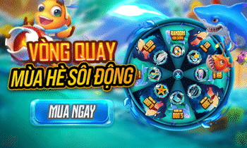 MÙA HÈ SÔI ĐỘNG